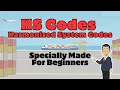 HS Code Harmonized System Codes Specially Made For Beginners