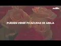 Kali Uchis - I Wish You Roses // Español