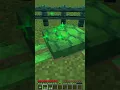 How To Get Turtle Scutes In Minecraft