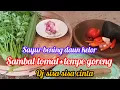 Download Lagu DJ SISA SISA CINTA _lagu populer dan terbaik