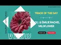 L.GU. & Émilie Rachel - Wildflower (Extended Mix) | Colorize | Track of the Day (17/08/2023)