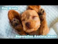 Download Lagu Musik Penyembuhan untuk Anjing | Musik Relaksasi Kecemasan Perpisahan |