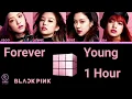 Download Lagu BLACKPINK - Forever Young [OFFICIAL] (1 hour extended)