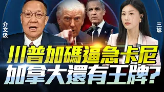 加拿大正式對美反擊！徹底切割？介文汲揭卡尼真正盤算：分散市場、降低對美依賴！為了國格只能打這一戰！@BNETVNZ