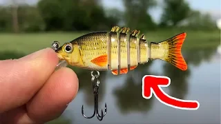MICRO Jointed Swimbait - SMALLEST in the WORLD Surprising Results