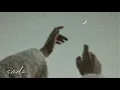 Lilium |sleeping inside