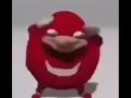 yooooooooooo