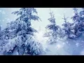 Download Lagu Winter Storm White Noise | Sleep, Study or Focus with Wind \u0026 Snowstorm Sounds | 10 Hours