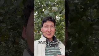 Uyghur Friends - Uyghur Village Life