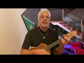 Lulu Santos - O último romântico