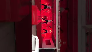radical dance expomex 2017