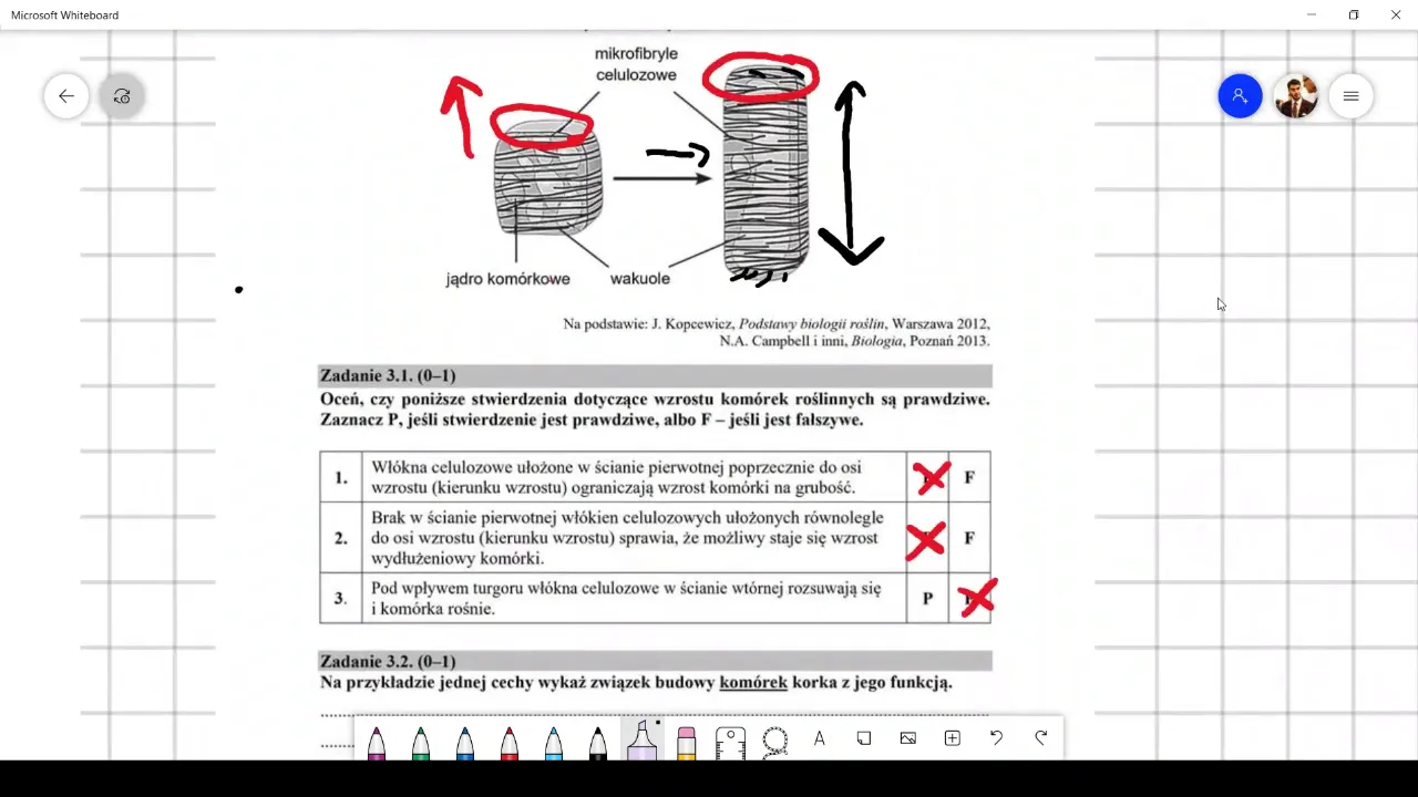MATURA BIOLOGIA 2020 PEŁNE ROZWIĄZANIE