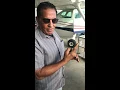 Aircraft Systems - 02 Engine