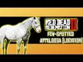 Few Spotted Appaloosa Wild Horse Location - Red Dead Redemption 2