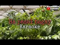 Download Lagu Ha Pasal Bagay | KARAOKE