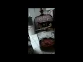 Download Lagu Pancingan Suara Lovebird Yakin Nyaut99%