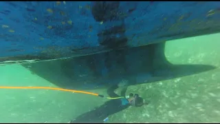 Motherload sailing is going live!