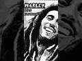 Download Lagu Bob Marley  Three Little Bird 🐦