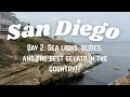 San Diego Day 2 La Jolla Adventures the Best Gelato in America