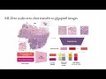 CVPR2023 Visual Language Pretrained Multiple Instance Zero-Shot Transfer for Histopathology Images