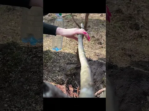 This GIRL Got Caught On Camera Doing This: 🩲💀🤯#survival #lifehack #camping