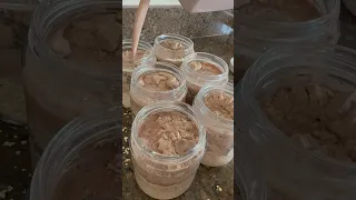 Triple Chocolate Overnight Oats