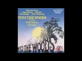 Into The Woods part 2 - Cinderella At The Grave
