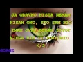 Lagu Pedja Medenica -- Da me neko pita (GOGE)
