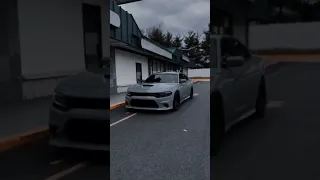 عاشت ايدك حالات واتس 