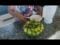 Lagu APRENDA A FAZER SUCO DE UMBU.