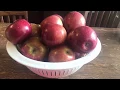 Download Lagu Making Moonshine Using Apples Instead of Corn