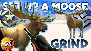 How to Set-Up a MOOSE GRIND in MedVed Taiga - Call of the Wild