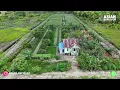 Download Lagu AERIAL VIEW OF THE SP6B TRANSMIGRATION SETTLEMENT; BULUNGAN REGENCY, NORTH KALIMANTAN