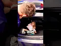 Download Lagu Vader leert zijn kinderen hoe ze kunnen ontsnappen! 😊