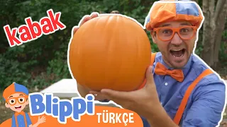 Blippi Balkabağı Parkı Nı Ziyaret Ediyor Blippi Türkçe Çocuklar Için Videolar Türkçe Dub 