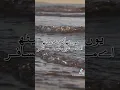 Download Lagu Urdu poetry/Rakh honsla wo manzar bhi aayega