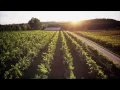 Thrive In Dubuque Relocation Information for Dubuque Iowa