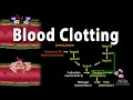 Hemostasis Control of Bleeding Coagulation and Thrombosis Animation