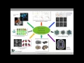 Susheel Varma The VPH-DARE IT Platform for Translating Research to Clinical Decision Support