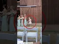 Download Lagu The flower boy at the wedding tried to drive away the bees.#shorts #love #funny