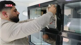 کوردستان ماری دەگمەنی لێیە 