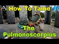Ark Survival Evolved How To Tame The Pulmonoscorpius