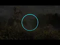 Konet - Kisetsu (季節) Prog House