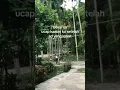 Download Lagu jika belum tau,belajar lah untuk dewasa