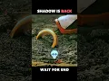 Download Lagu Shadow Returns | Sonic The Hedgehog | Sonic 3 #shorts #sonic #shadow