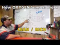 How oxygen sensors work Oxygen sensors Explained