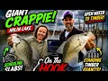 Nolin Lake Was LOADED With GIANT Crappie Open Water Slabs