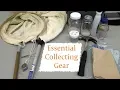 Essential Insect Collecting Equipment for Beginners