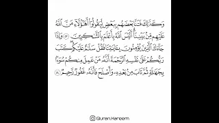القارئ سعد الغامدي سورة الأنعام من الآية 53 إلى الآية 54 