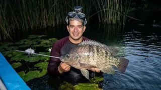 Una gran pesca y cocina de tilapias y guapotes gigantes robalos y peces diablo